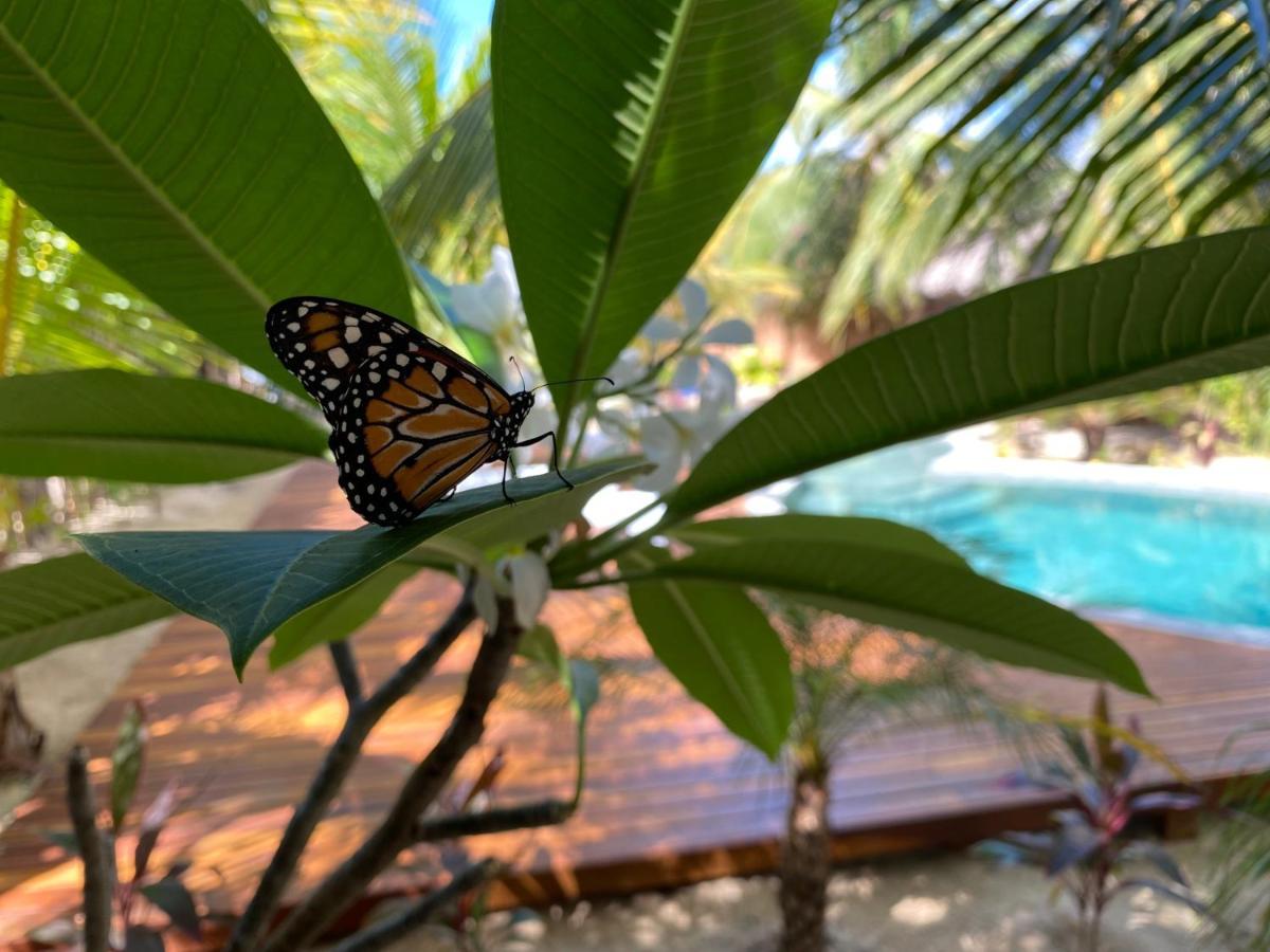Pousada Villa Zen Barra Grande  Eksteriør billede