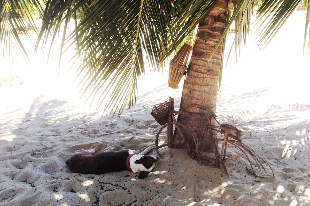 Pousada Villa Zen Barra Grande  Eksteriør billede